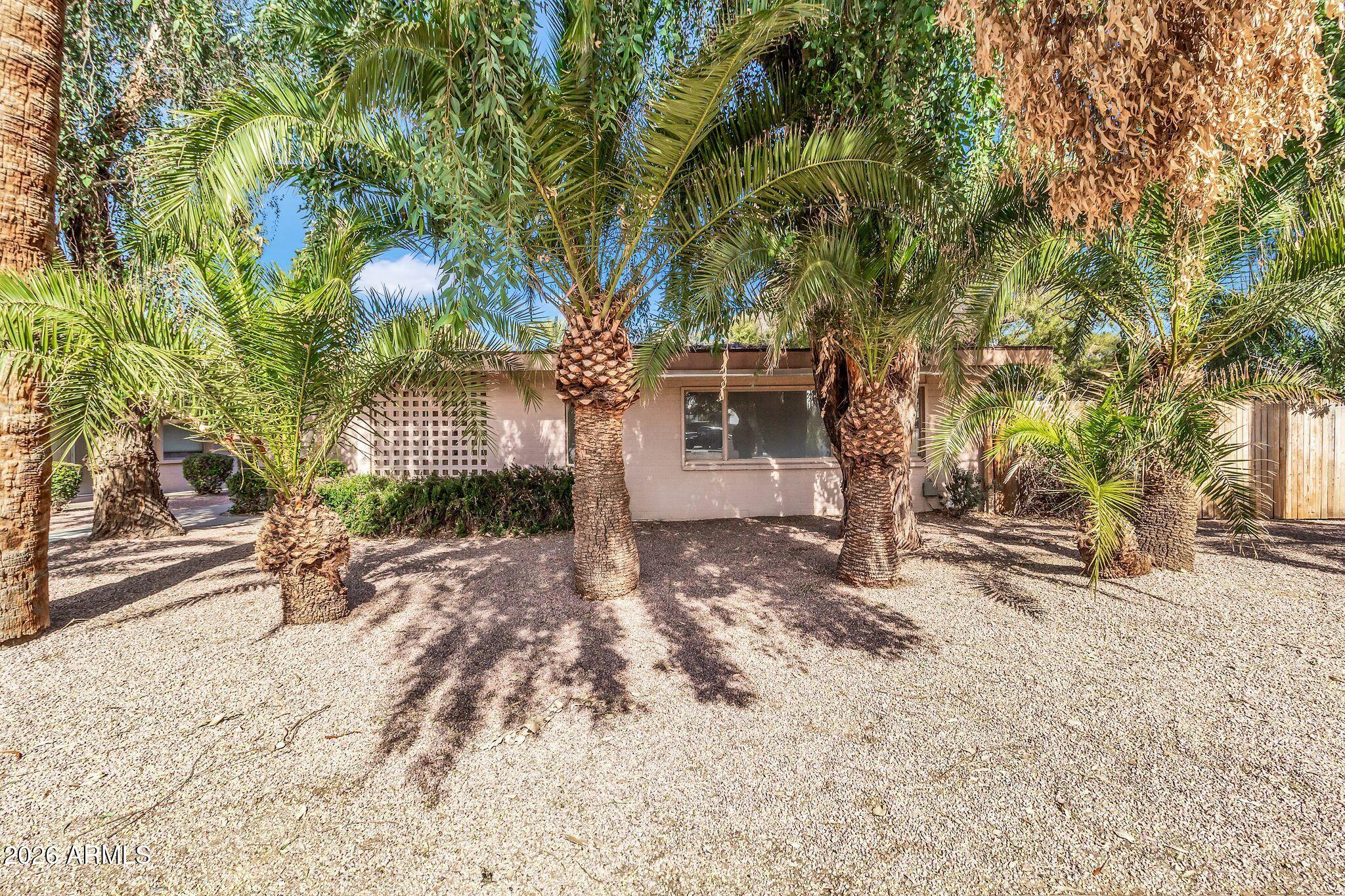 725 South Power Road, Unit 101 Mesa, AZ 85206 - Photo 35 of 38 a view of a backyard