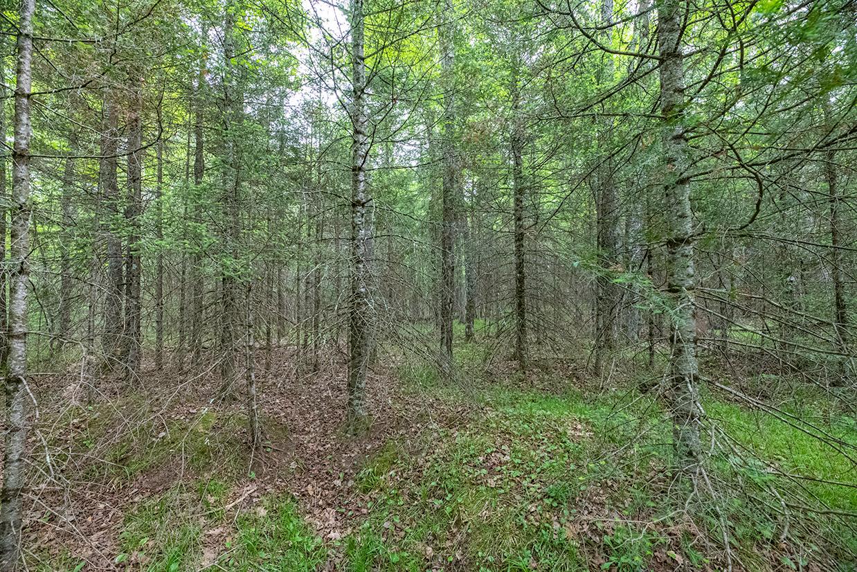 Off Monheim Road Conover, WI 54519 - Photo 13 of 28 Gallery Image 13