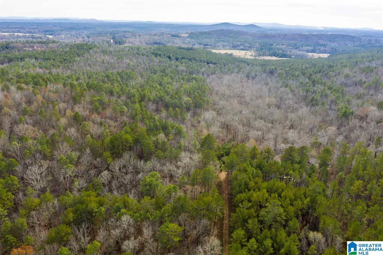 0 Constellation Avenue, Unit 1 Alpine, AL 35014 - Photo 27 of 34