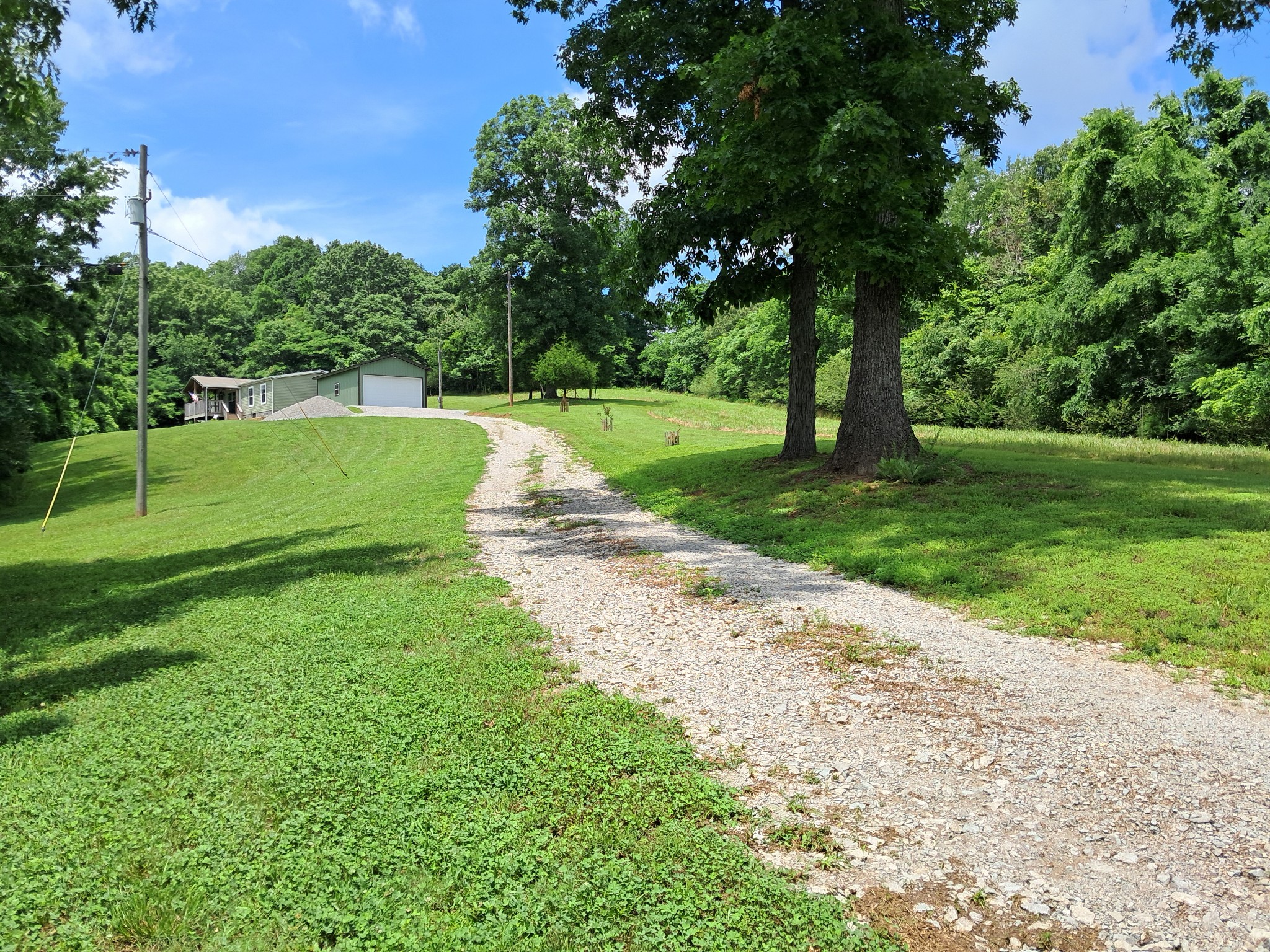 5525 Wiley Hollow Road Culleoka, TN 38451 - Photo 19 of 64 a view of a park with large trees