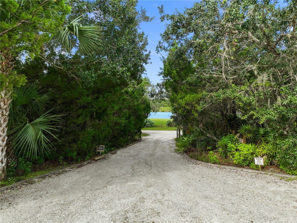 5051 Tozour Road Fort Pierce, FL 34946 - Photo 9 of 31 a view of a yard with plants and trees