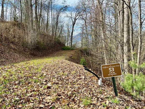 a view of a back yard