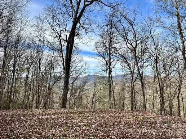 a view of outdoor space