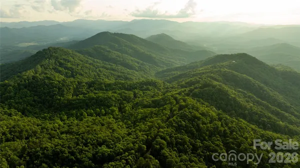 a view of a mountain range in a forest