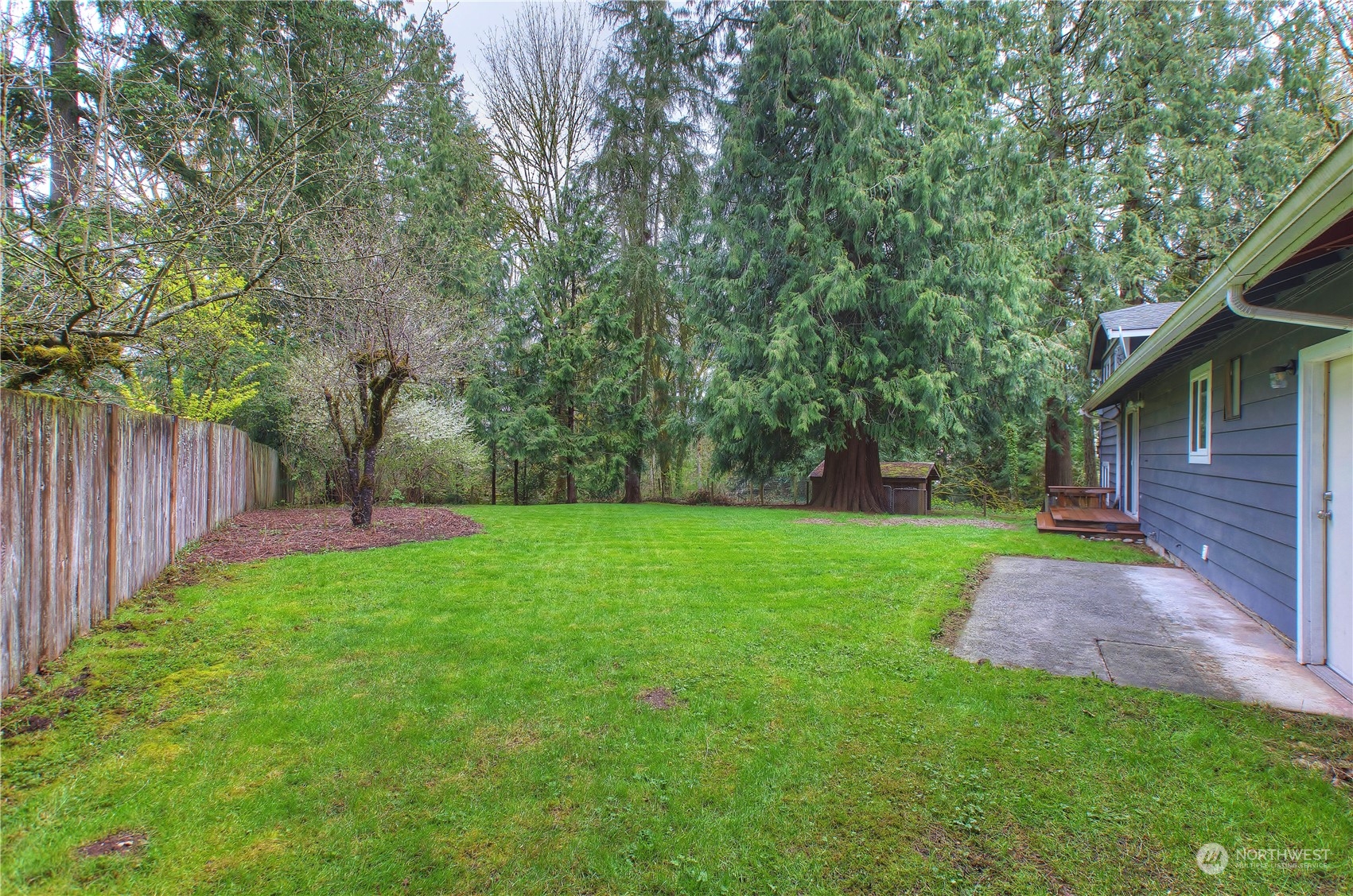 14092 Southeast 190th Street Renton, WA 98058 - Photo 23 of 27 a view of a backyard with large trees