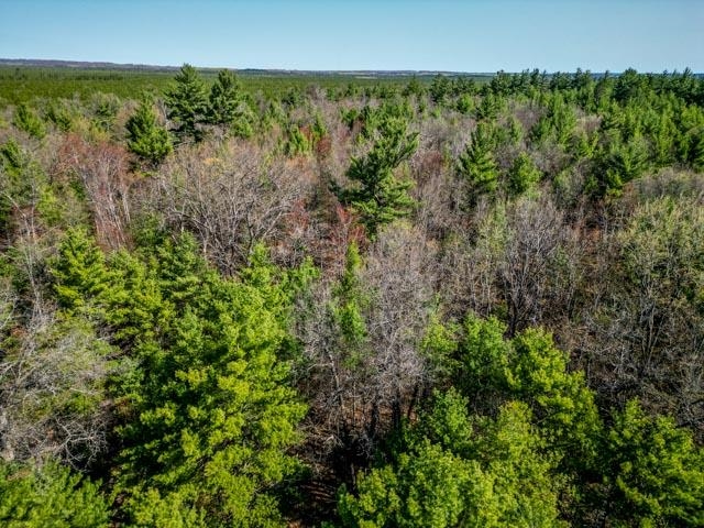 20-acres 20-acres Mckinley Road Marion, MI 49665 - Photo 45 of 48