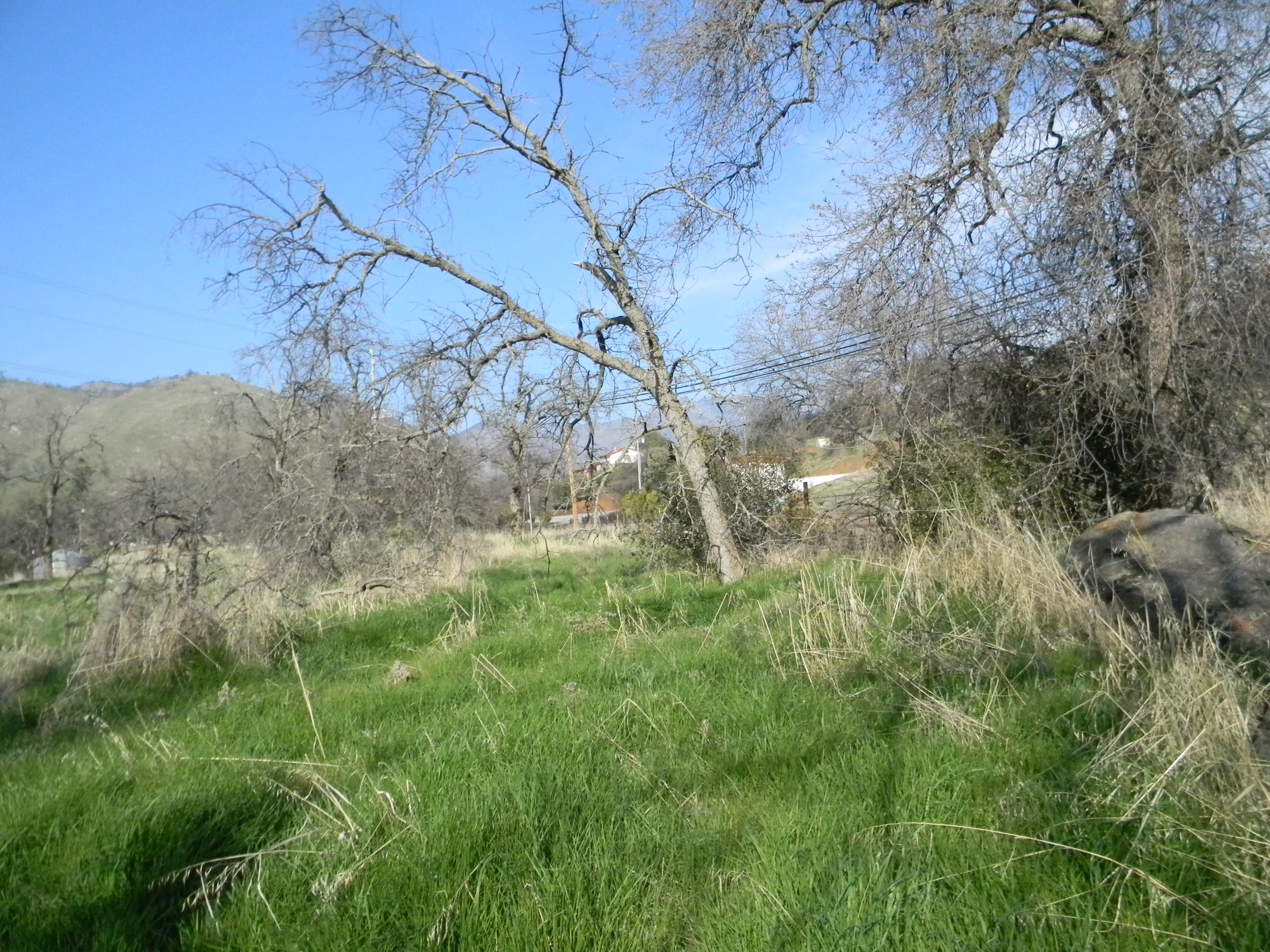 0 Pierce Drive Three Rivers, CA 93271 - Photo 4 of 9 DSCN5647