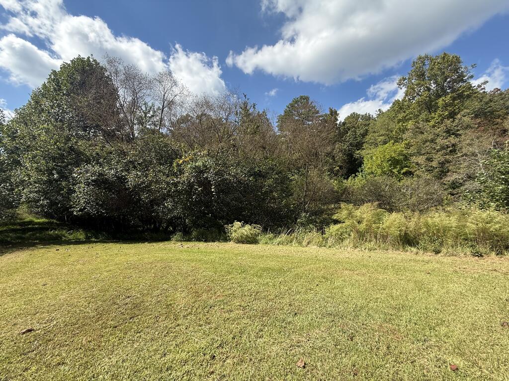 0 Valley Lake Road Mineral Bluff, GA 30559 - Photo 14 of 16 Gallery Image 14
