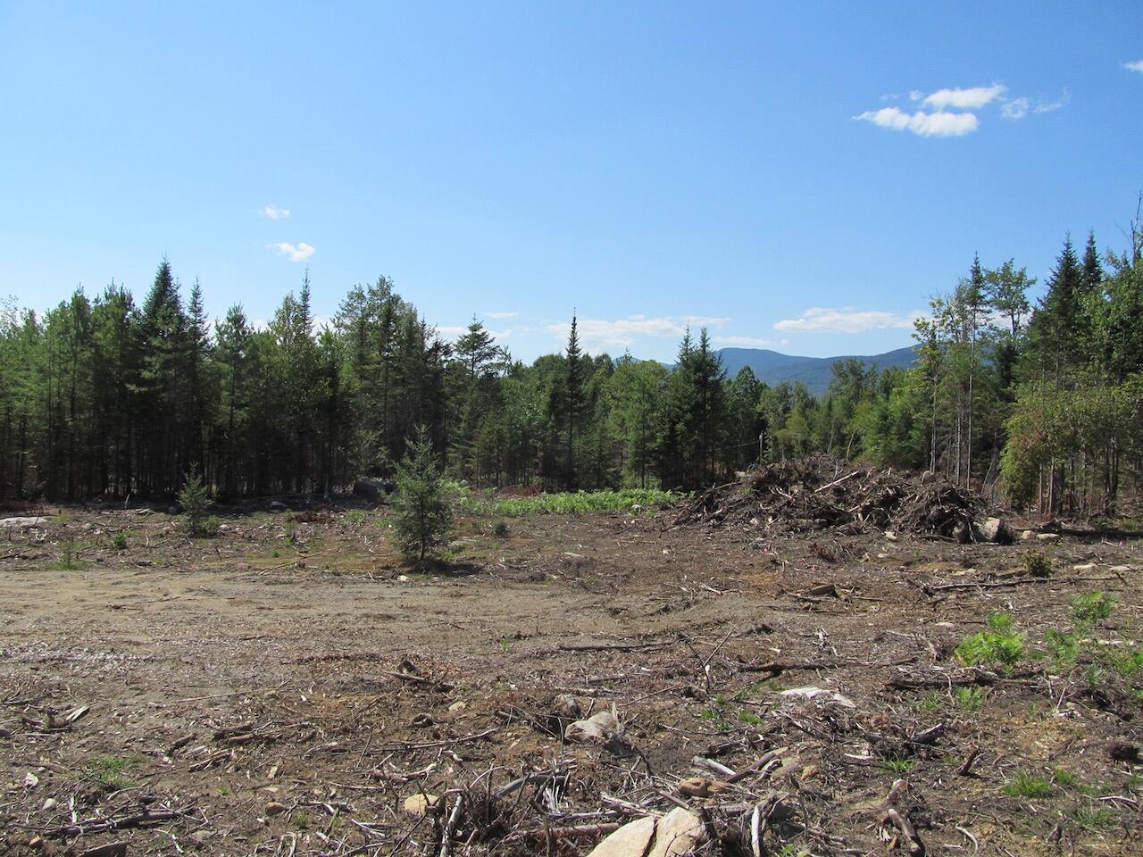 929 Center Hill Road Weld, ME 04285 - Photo 9 of 20