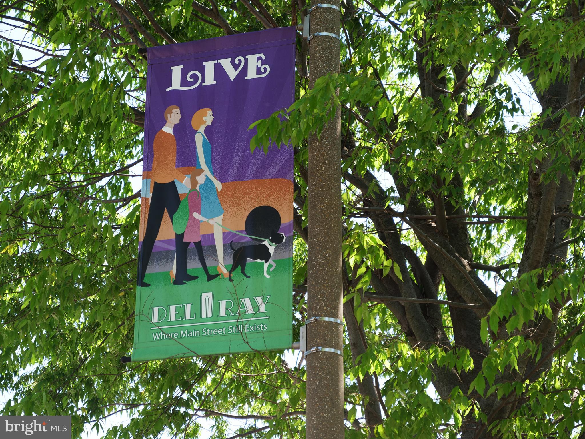 6 West Glebe Road Alexandria, VA 22305 - Photo 43 of 45 a sign that is on a tree