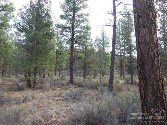 17785 Wilt Road Sisters, OR 97759 - Photo 6 of 25 a view of a forest with trees in the background