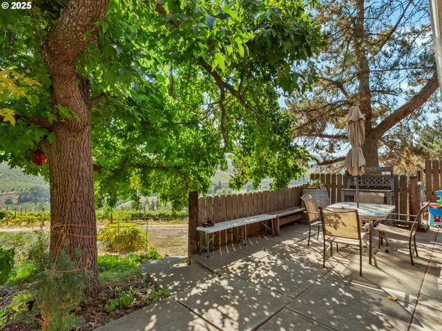 a view of a bench in the garden