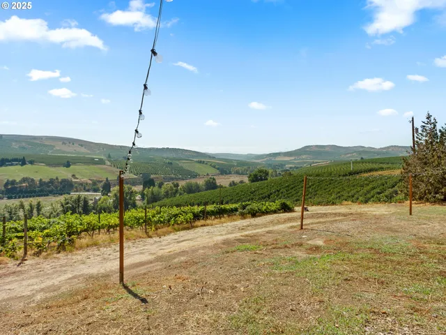 a view of a road with a yard