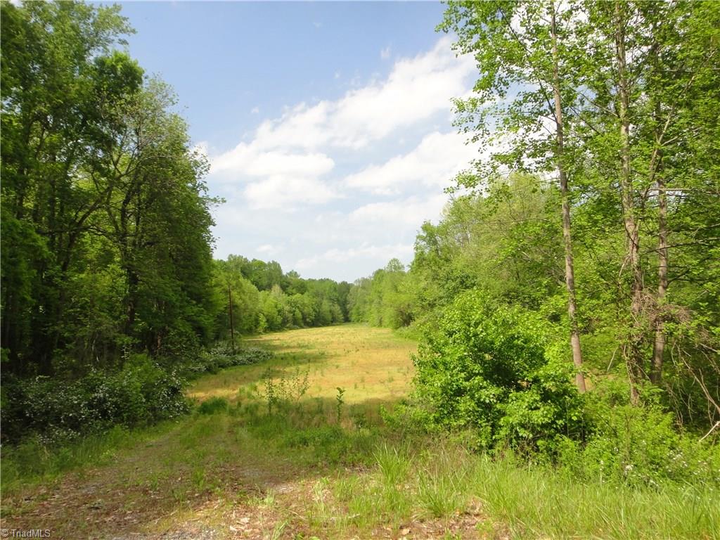 705 Lemons Road Stokesdale, NC 27357 - Photo 1 of 16 Gallery Image 1