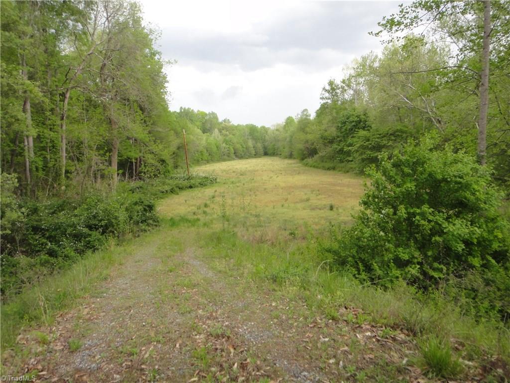 705 Lemons Road Stokesdale, NC 27357 - Photo 12 of 16 Gallery Image 12