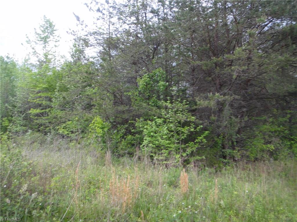 705 Lemons Road Stokesdale, NC 27357 - Photo 6 of 16 Gallery Image 6