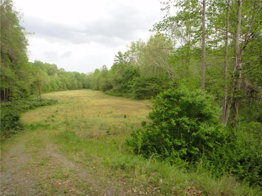 705 Lemons Road Stokesdale, NC 27357 - Photo 10 of 16 Gallery Image 10