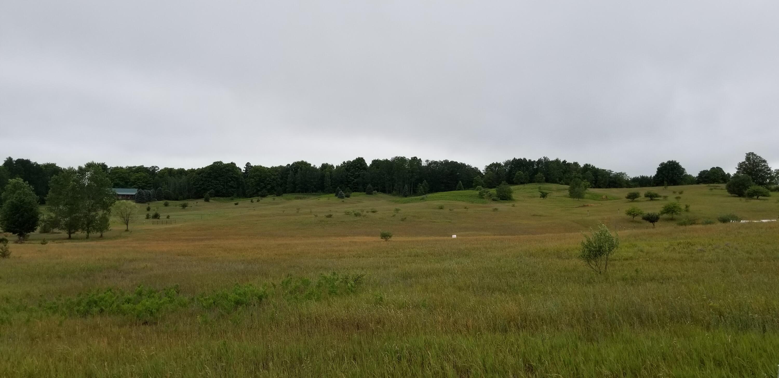 Sawyer Road Gaylord, MI 49735 - Photo 3 of 4 Gallery Image 3