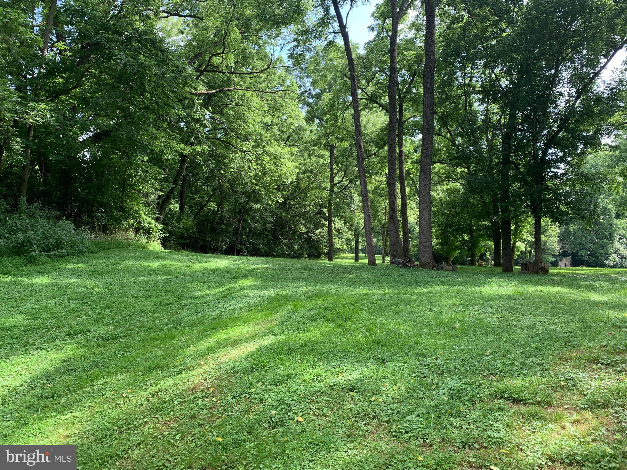 7095 Howellsville Road Boyce, VA 22620 - Photo 12 of 22