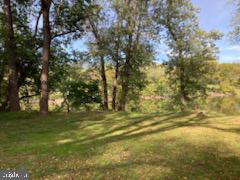 7095 Howellsville Road Boyce, VA 22620 - Photo 16 of 22