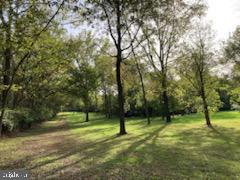 7095 Howellsville Road Boyce, VA 22620 - Photo 20 of 22