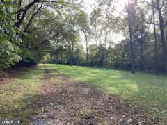 7095 Howellsville Road Boyce, VA 22620 - Photo 21 of 22