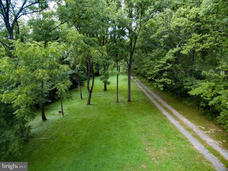 7095 Howellsville Road Boyce, VA 22620 - Photo 8 of 22 Park like setting