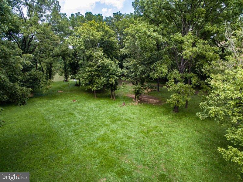 7095 Howellsville Road Boyce, VA 22620 - Photo 9 of 22 Buildable parcel