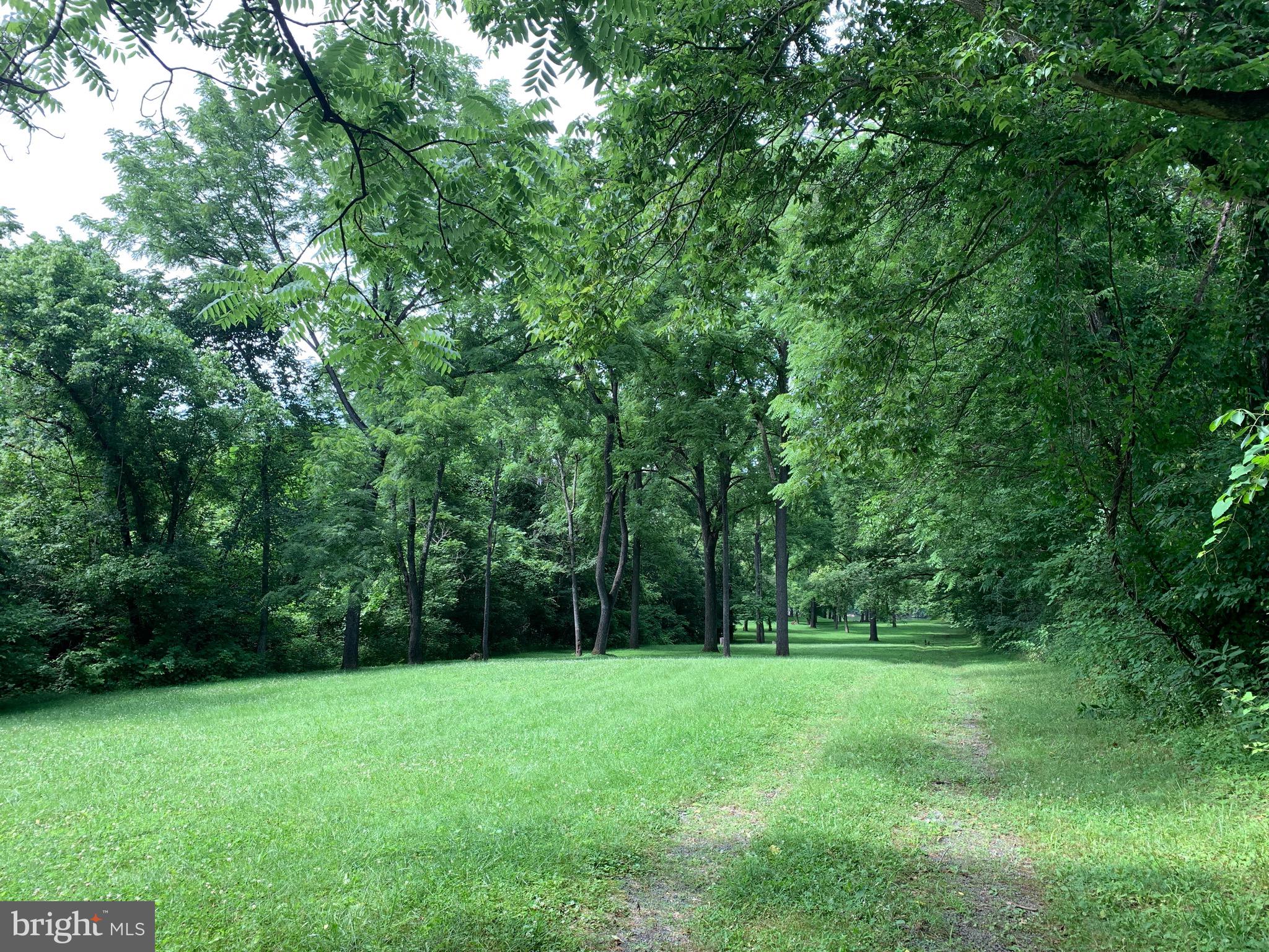 7095 Howellsville Road Boyce, VA 22620 - Photo 10 of 22 Mature trees.