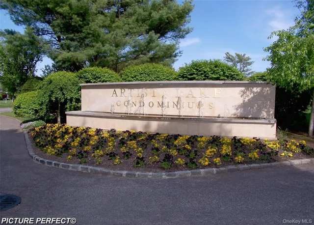 a view of park with tall trees