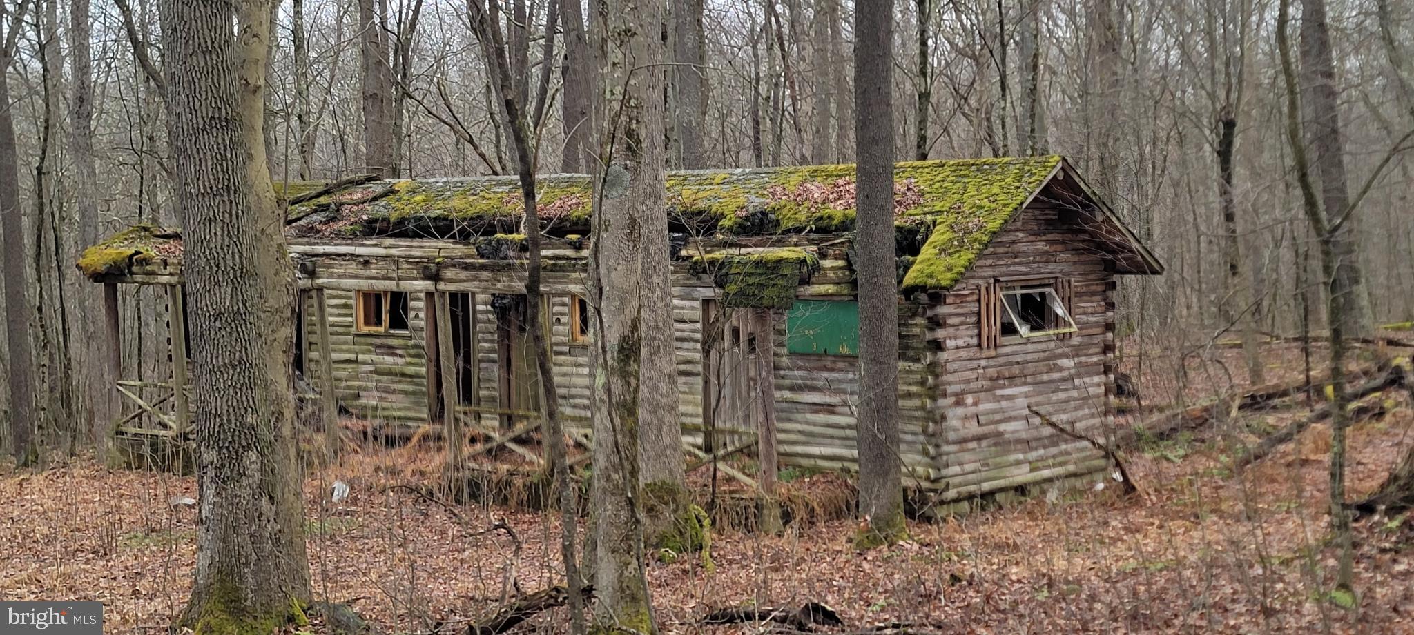 Camp Galilee Road Terra Alta, WV 26764 - Photo 27 of 40