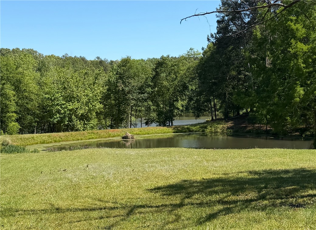 232 Hunters Trail Walhalla, SC 29691 - Photo 35 of 38 This expansive lot features serene ponds, lush green surroundings, and tranquil views.