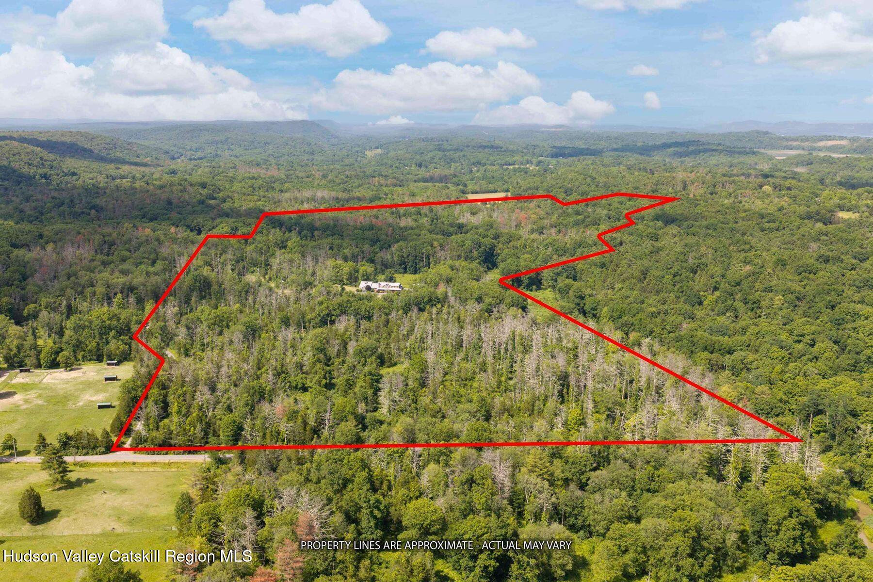 447 Shear Road Saugerties, NY 12477 - Photo 95 of 95 photo_offline_015