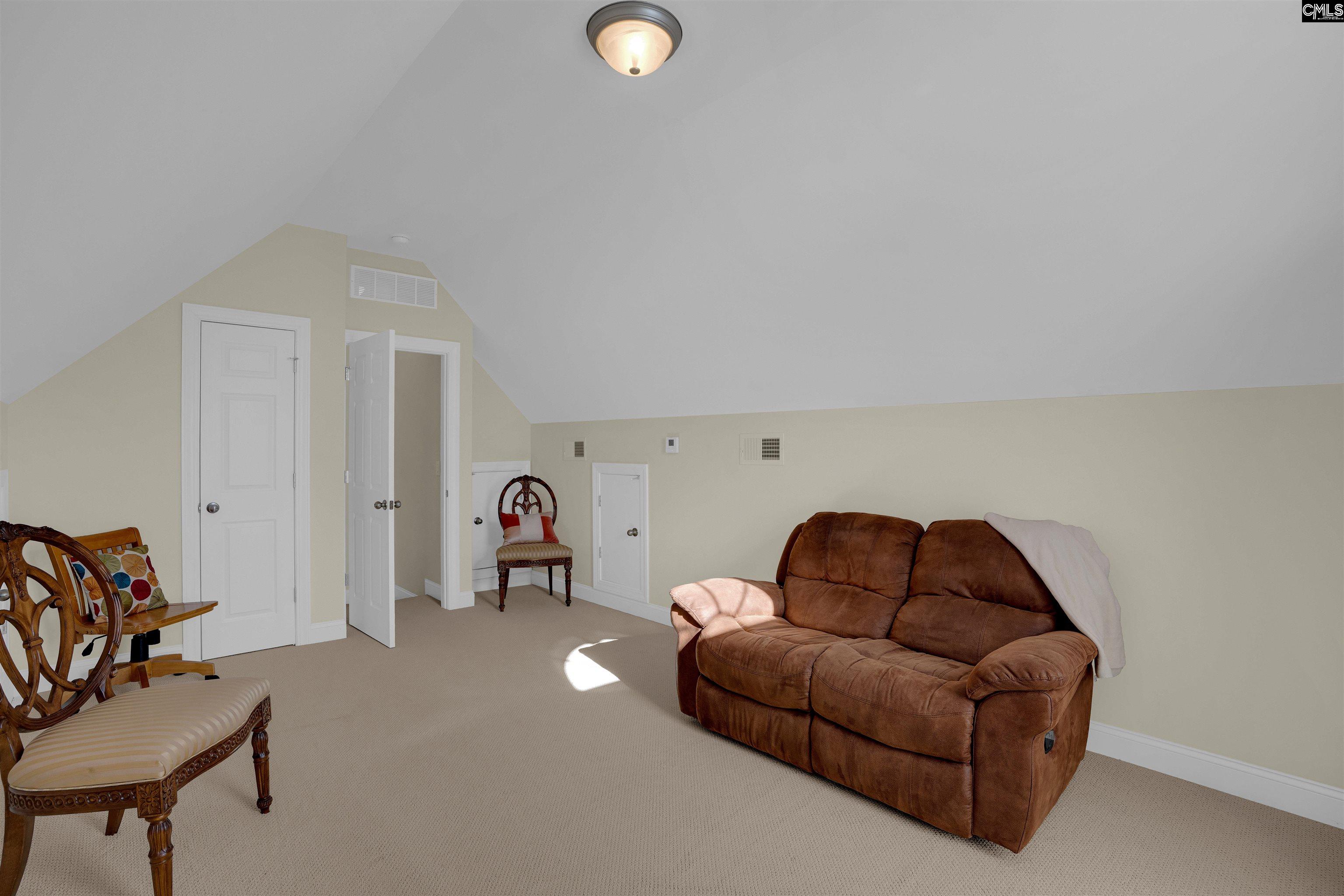 227 Fairway Ridge Drive Chapin, SC 29036 - Photo 32 of 56 Gallery Image 32