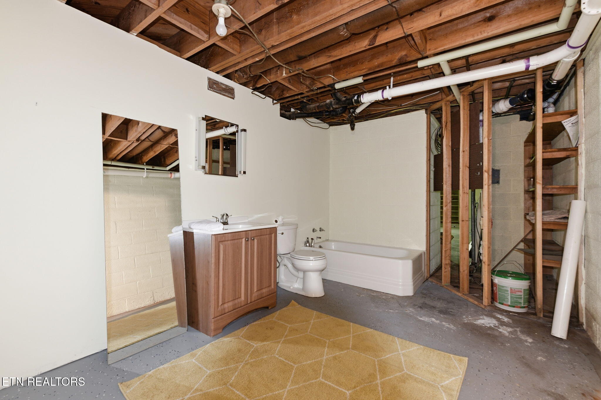 103 Endicott Lane Oak Ridge, TN 37830 - Photo 30 of 34 Downstairs bath