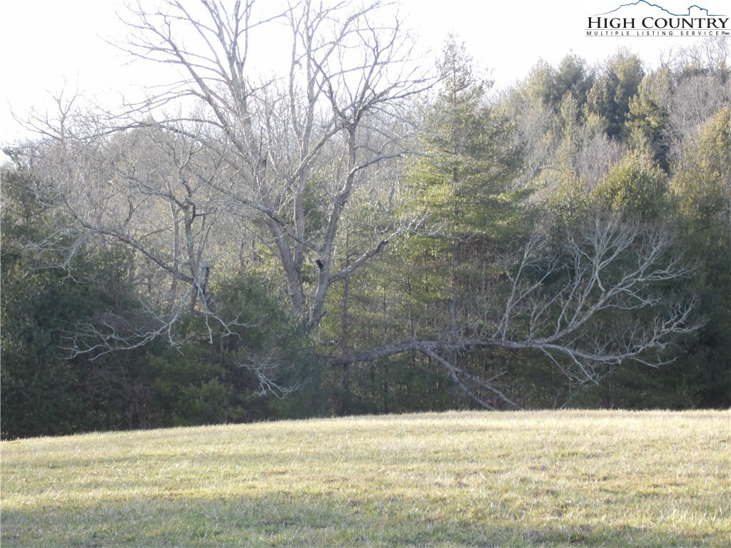Shawtown Road Ennice, NC 28623 - Photo 10 of 19 Gallery Image 10