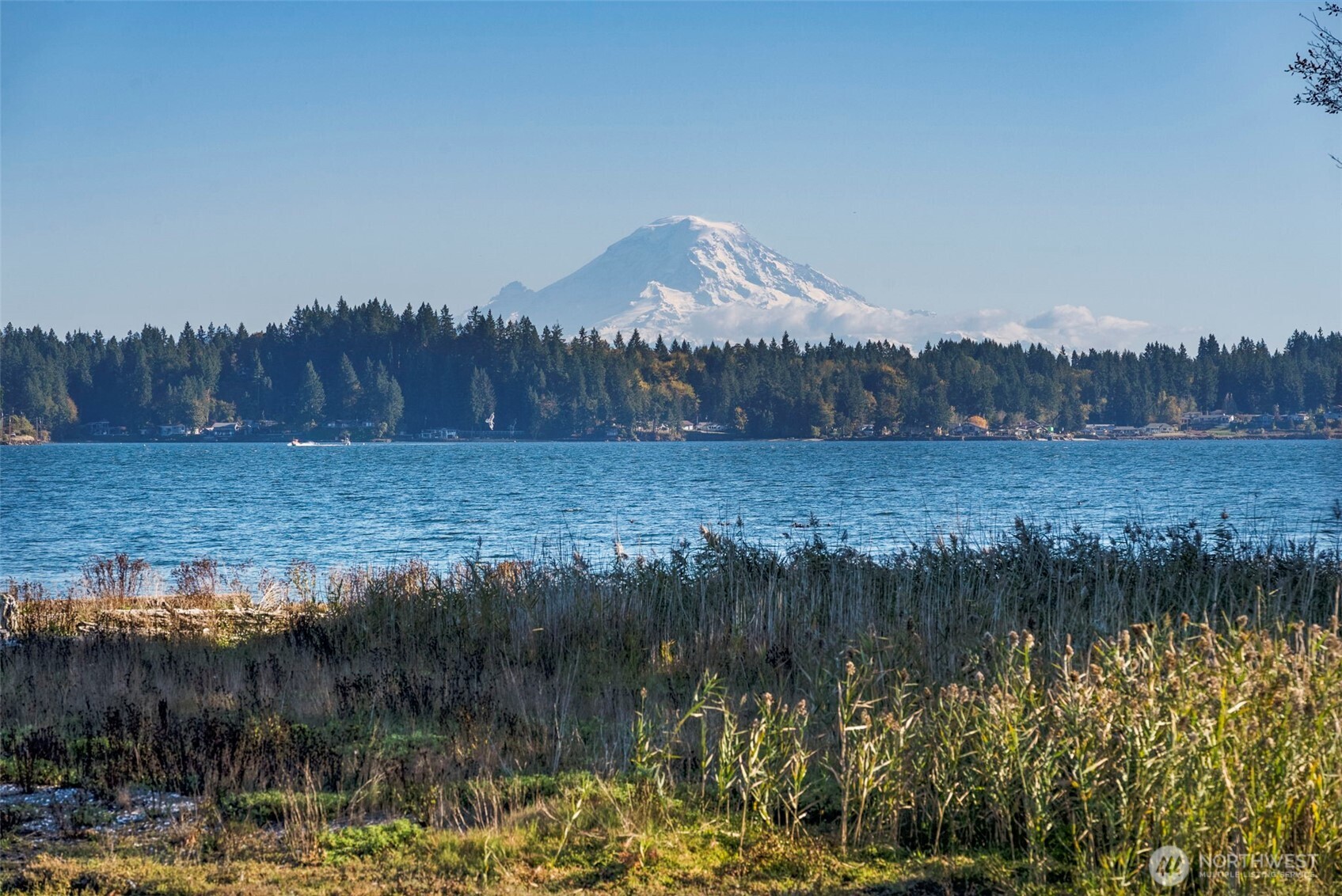 5208 Illahee Road Northeast Bremerton, WA 98311 - Photo 2 of 39 a view of a lake in middle of the forest