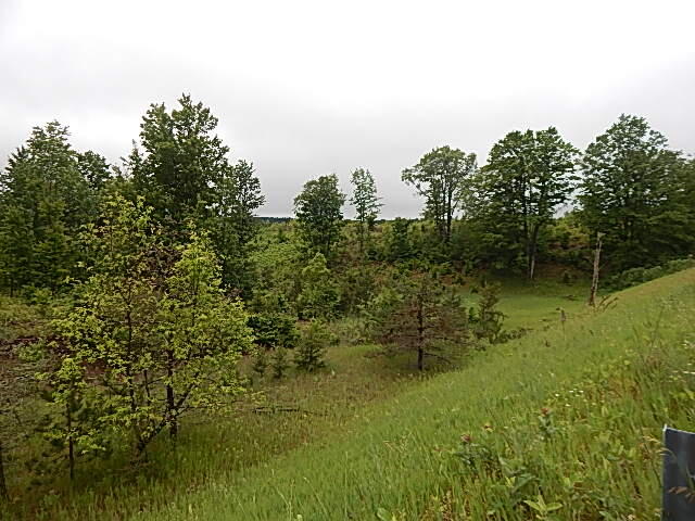 11500 West 14 Road Mesick, MI 49668 - Photo 21 of 23 DSCN1984
