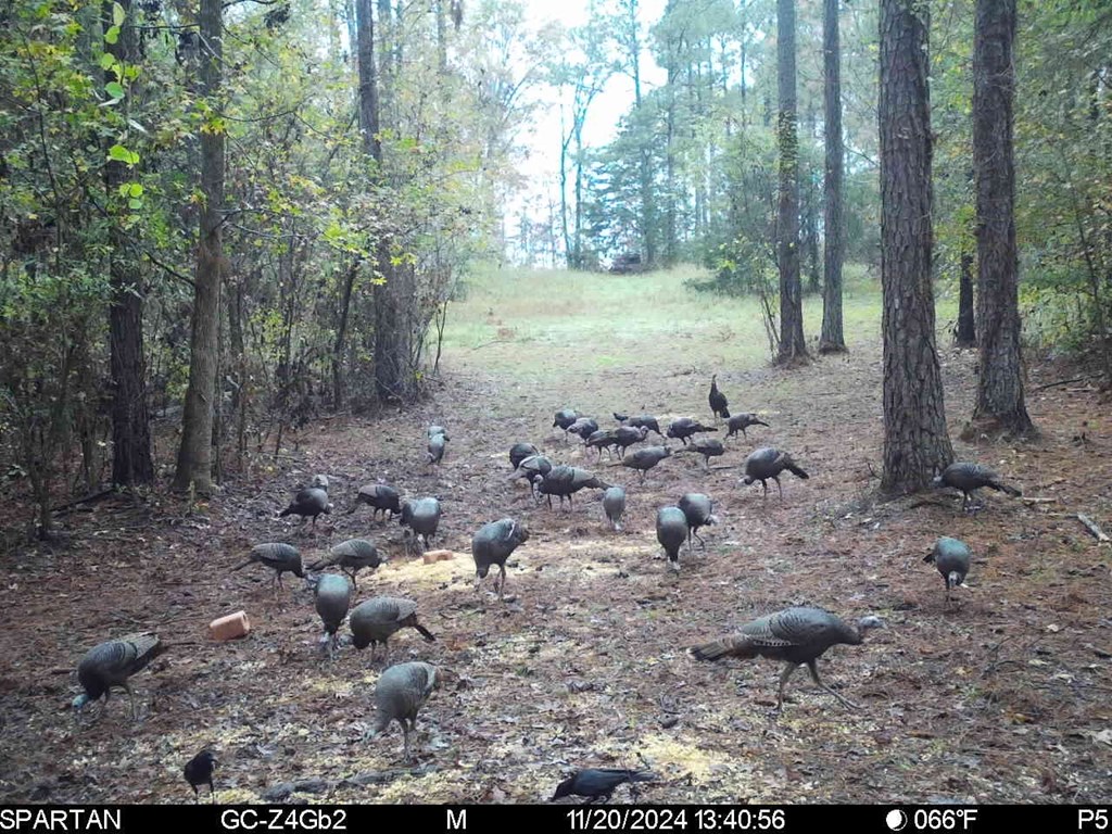0 Upper Mill Road McCormick, SC 29835 - Photo 7 of 18 Gallery Image 7