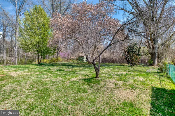 a view of a yard with a tree