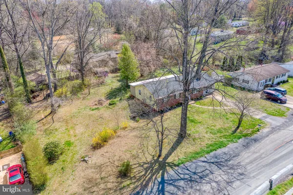 a view of a yard with plants