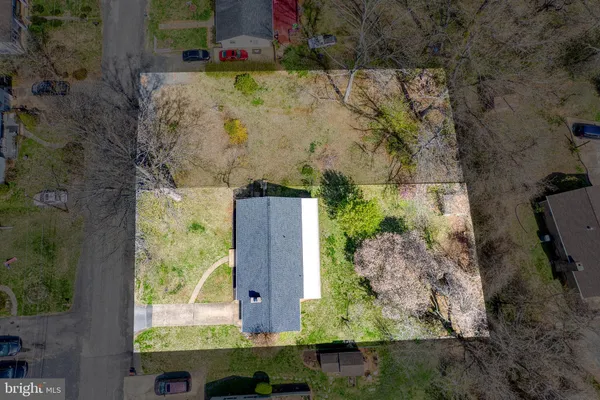 an aerial view of a yard with plants