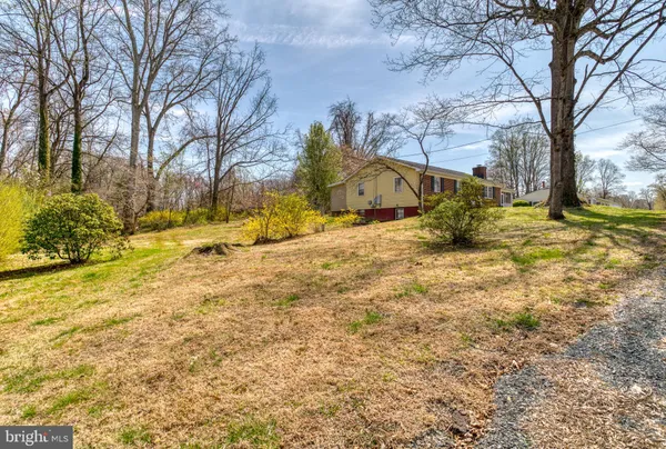 a view of yard with trees
