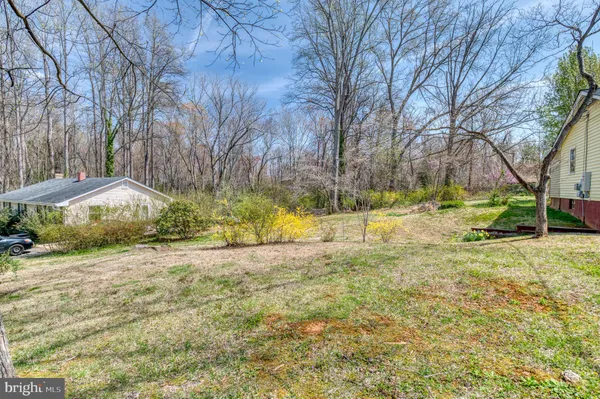 a view of yard with tree