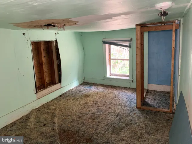 a view of backyard with green space