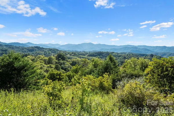 a view of a lush green forest with mountains in the background