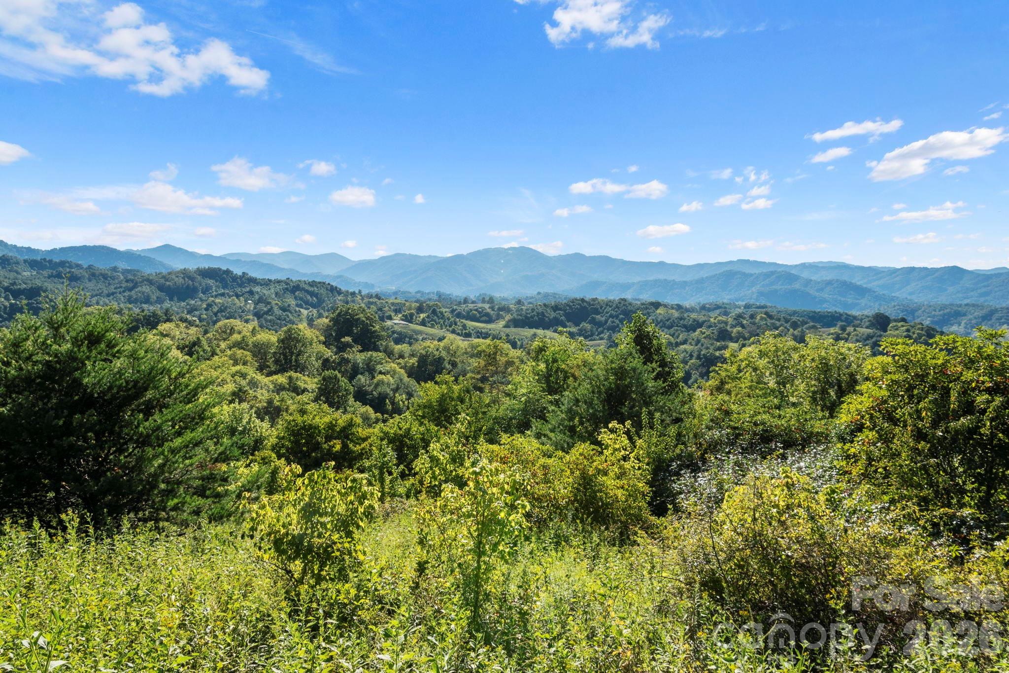 1231 Baileys Branch Road, Unit 3 Marshall, NC 28753 - Photo 1 of 36 a view of a lush green forest with mountains in the background