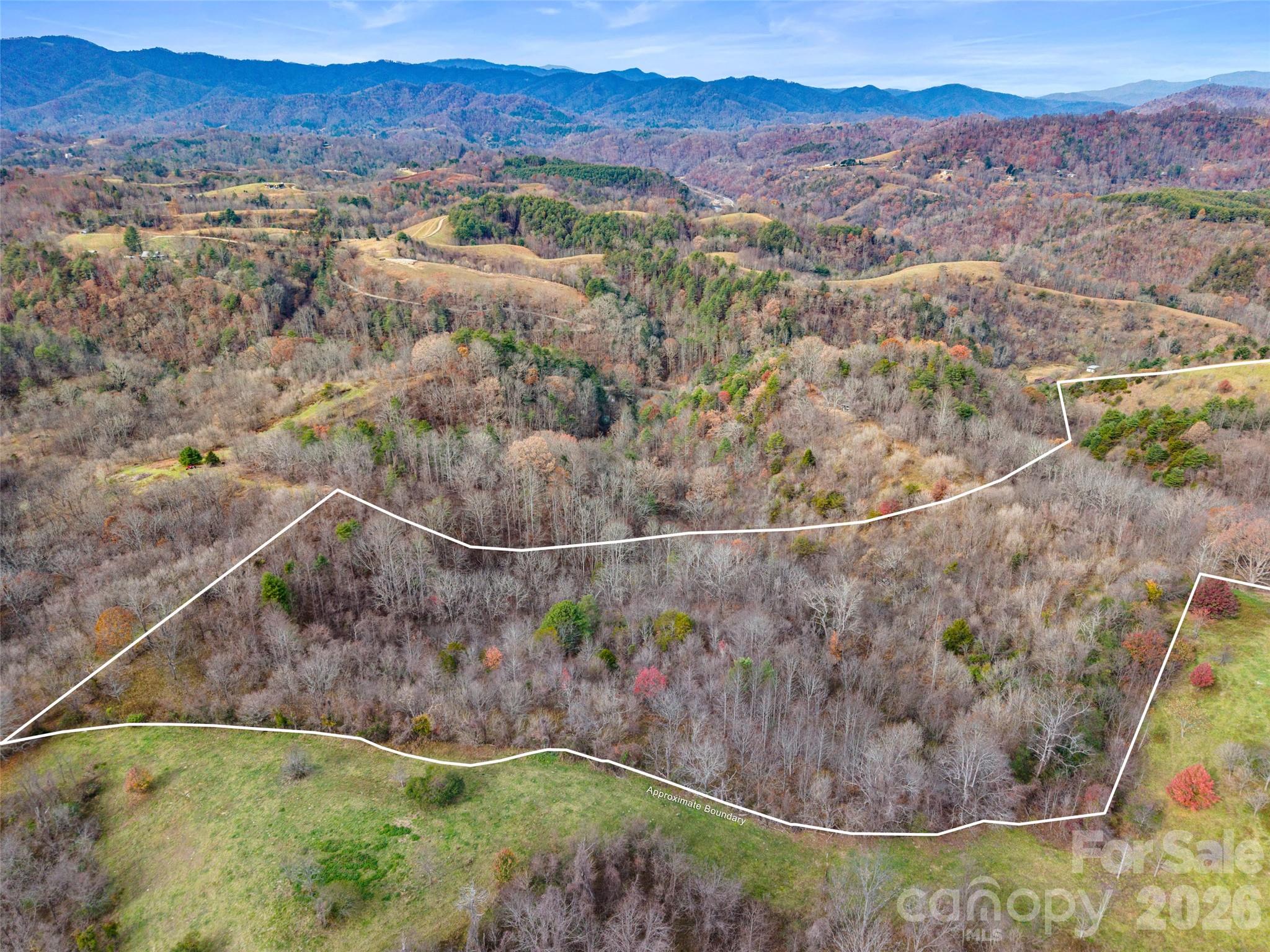 1231 Baileys Branch Road, Unit 3 Marshall, NC 28753 - Photo 11 of 36 an aerial view of residential house and outdoor space