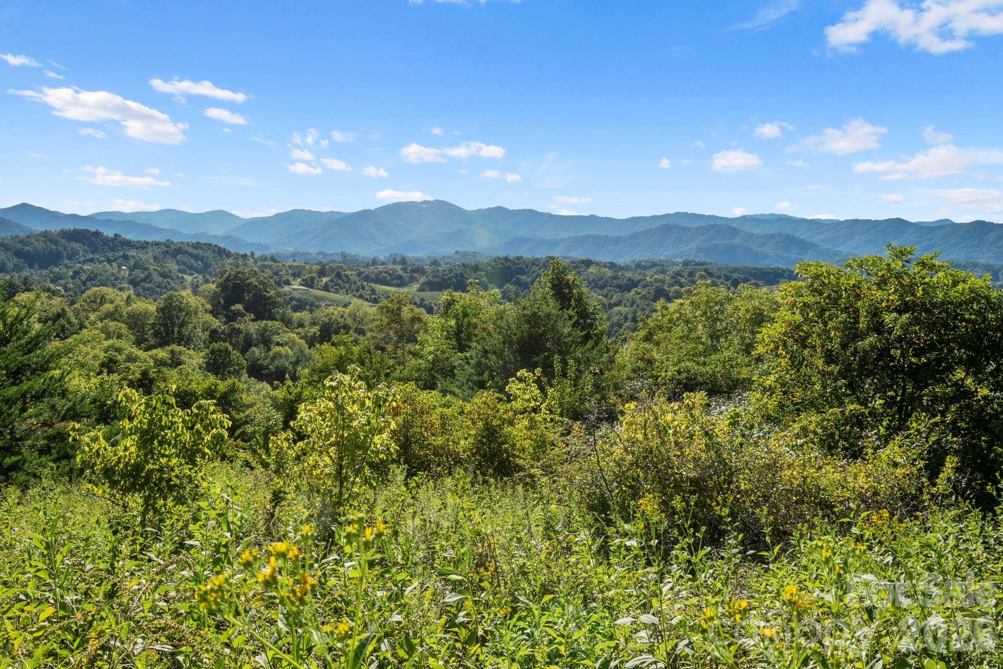 1231 Baileys Branch Road, Unit 3 Marshall, NC 28753 - Photo 2 of 36 a view of a city with lush green forest