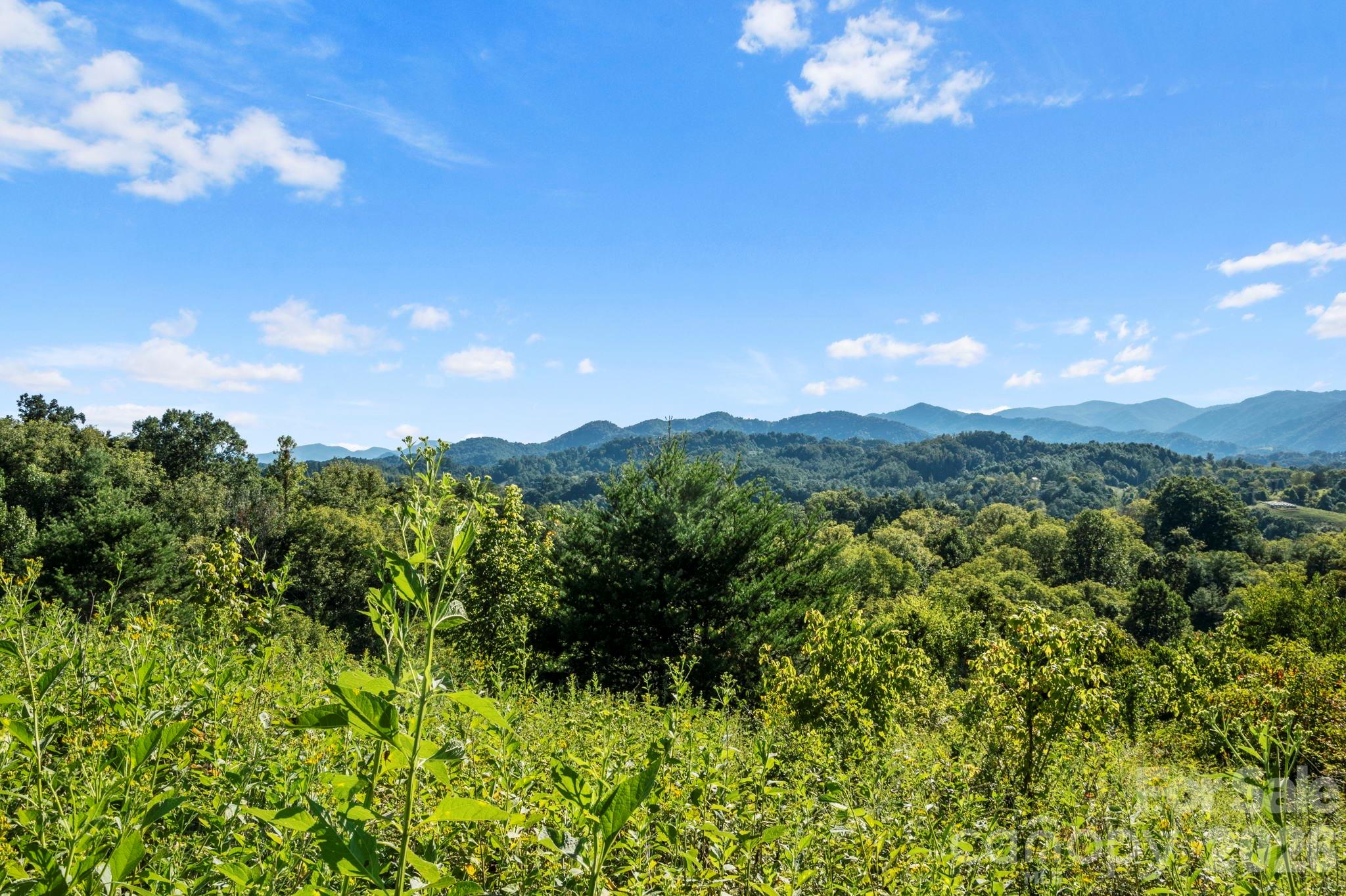 1231 Baileys Branch Road, Unit 3 Marshall, NC 28753 - Photo 24 of 36 a view of a city with lush green forest